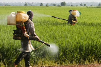 Deputados aprovaram alterações nas regras de registro de agrotóxicos