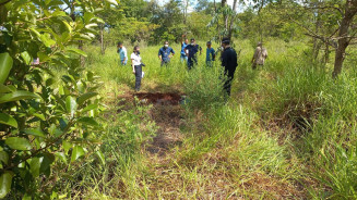 Corpos de rapazes desaparecidos são encontrados em mata; 4 são detidos