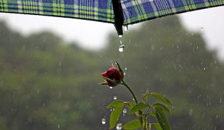 Terça-feira segue com tempo instável, com previsão de chuva em diferentes regiões 