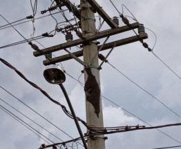 Abelhas ocupam poste e moradores temem nova tragédia em Dourados