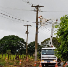 Colmeia de abelhas é removida de poste no Esplanada