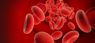 Tratamento de hemofilias é integral e gratuito no Sistema Único de Saúde