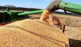 MS pode registrar novo recorde de área plantada e produtividade da soja safra 2022/2023