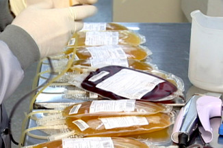 Sancionada com veto lei que facilita localização de doadores de medula óssea