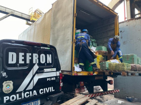 Defron incinera quase 14 toneladas de droga em Dourados
