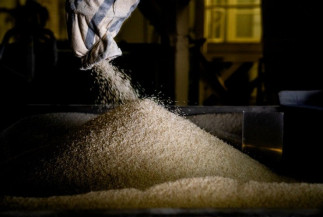 Exportações de arroz superam 2,1 milhões de tem 2022