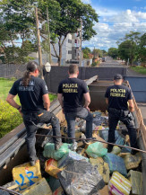 Polícia Federal de MS realiza a maior apreensão de drogas desse ano