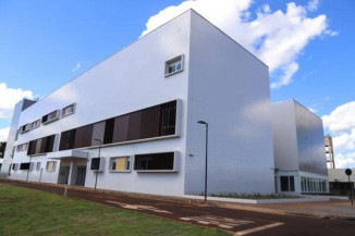 Criança de 11 anos é picada por cobra ao fugir de estupro de padrasto