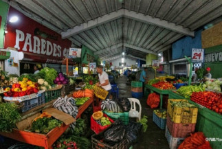 131 milhões de pessoas na América Latina e no Caribe não têm acesso a uma alimentação saudável