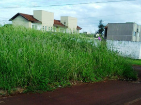 Prefeitura prorroga prazo para limpeza de terrenos baldios