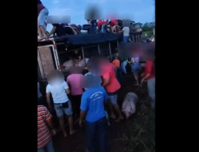 Caminhão tomba e população saqueia carga de porcos em MS