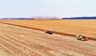 Mato Grosso do Sul foi o terceiro estado do Brasil que mais gerou vagas no agronegócio