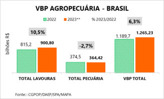 Valor da Produção Agropecuária previsto para 2023 tem o melhor resultado em 34 anos