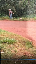 Polícia Civil indicia homem pelo crime de maus-tratos a animais em Dourados