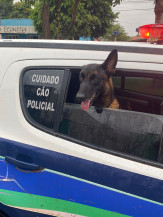 Operação Boca de Cavalo fecha 4 bocas de fumo prende 5 em Caarapó