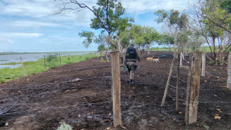 PMA interdita construções de mangueiro e embarcadouro de gado às margens do rio Paraguai