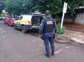 Homem furta subestação de energia e acaba preso pela Guarda Municipal