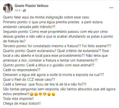 Égua prenha é sacrificada em rua de Dourados e gera revolta em protetores de animais