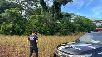 Menina de 6 anos é encontrada morta em lavoura; autor é identificado e preso em flagrante