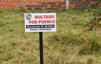 Dengue: Moradores de cidade paraguaia são multados e recebem placa de "porco" por terem terrenos sujos