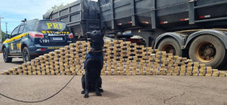 Cão farejador encontra drogas avaliadas em R$ 25 milhões