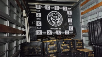 SIG fecha entreposto de maconha; droga chegava em caixa de frutas