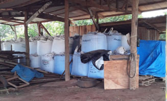 Indígenas voltam a invadir fazenda que também é disputada por sem-terra
