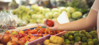 Ministério da Saúde integra Conselho de Segurança Alimentar e Nutricional; entenda funcionamento