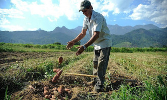 Senado vota comprovação obrigatória do período de descanso do solo rural