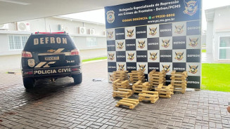 Defron apreende droga avaliada em mais de R$ 320 mil em zona rural de Dourados