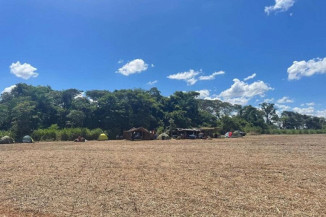 Observatório coordenado pela UFGD mobiliza mais de 100 entidades em defesa aos povos Kaiowá e Guarani