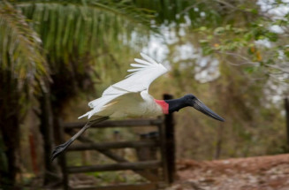 Turismo de Mato Grosso do Sul capacita agentes de viagens na Convenção Anual Schultz