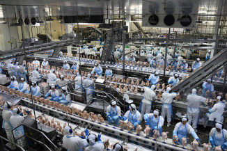 Indústrias de MS ofertaram 2,3 mil vagas de emprego em janeiro