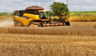 Produção agrícola de Mato Grosso do Sul deve aumentar 10% em um ano e superar 70 milhões de toneladas