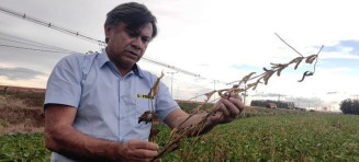 Chuva atrasa colheita da soja e compromete plantio da safrinha, diz Angelo Ximenes