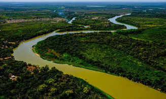 Projeto poderá ampliar proteção ao Pantanal