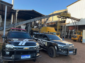 Polícia incinera 4,5 toneladas de drogas em Dourados