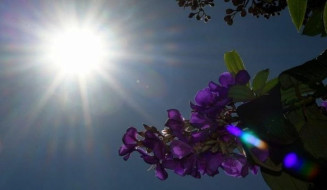 Mato Grosso do Sul tem previsão de temperaturas elevadas para esta terça-feira