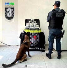 Homem é preso com quase 14 kg de drogas em bagagem de ônibus