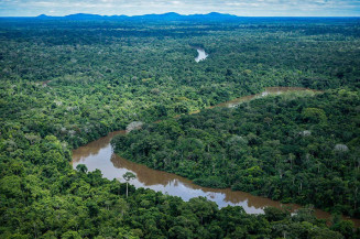 Senado analisará estímulo a mercado de carbono na gestão de florestas