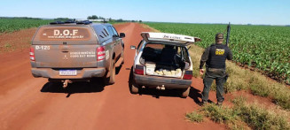 Motorista é preso com carro lotado de drogas