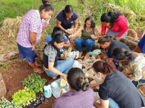 Grupos implantam sistemas de produção agroecológica nas aldeias