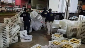 Caminhão em nome de empresa de família do senador é apreendido com maconha em MS