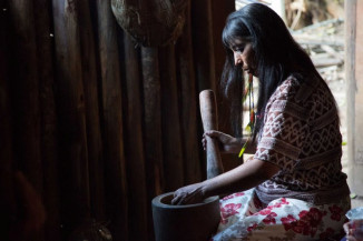 Para'í lega cultura do povo Guarani às telas do cinema
