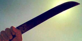 Mulher é atacada com golpe de facão pelo irmão