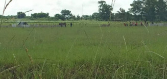 Organização recorre ao STF para que ação policial seja investigada em Dourados