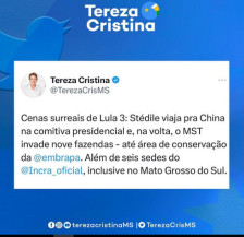 Senadora Tereza Cristina culpa Lula por retorno de conflito agrário