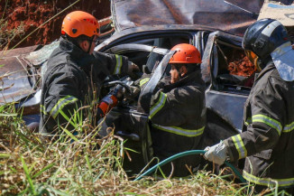 Idoso morre após caminhonete bater em anta e capotar em rodovia