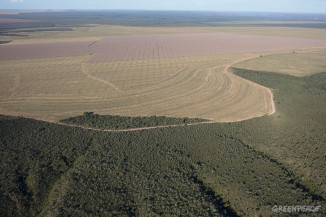 Desmatamento no Cerrado bate recorde no acumulado do ano