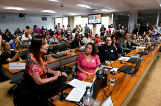 Comissões voltam a debater inclusão de estudantes com deficiência